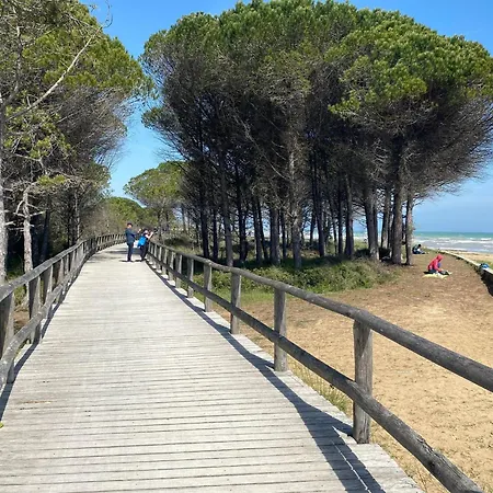Beachfront Colourful Flat With Swimming Pool Apartment Bibione
