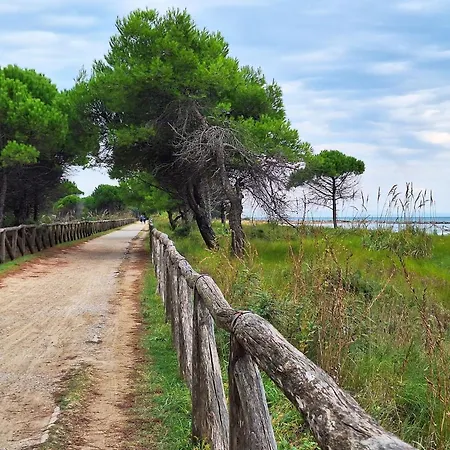 Beachfront Colourful Flat With Swimming Pool Bibione