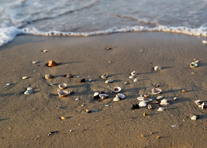 Beachfront Colourful Flat With Swimming Pool *